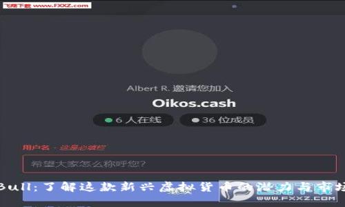 牛币Bull：了解这款新兴虚拟货币的潜力与市场表现