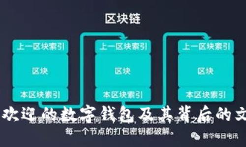 探秘迪拜：最受欢迎的数字钱包及其背后的文化与经济影响