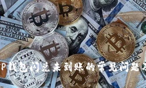 如何解决TP钱包闪兑未到账的常见问题及处理步骤