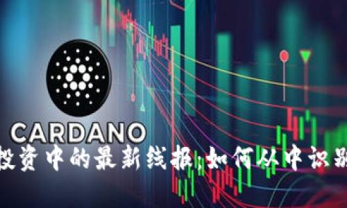 揭秘虚拟币投资中的最新线报：如何从中识别机会与风险