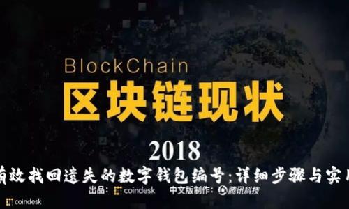 如何有效找回遗失的数字钱包编号：详细步骤与实用技巧