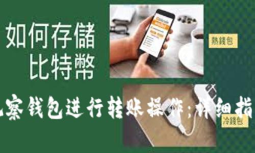 如何利用TP观察钱包进行转账操作：详细指南与使用技巧