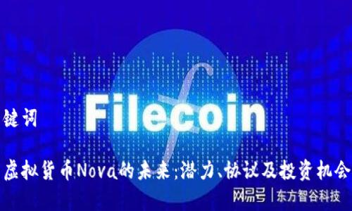 和关键词

探索虚拟货币Nova的未来：潜力、协议及投资机会解析