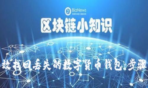 如何有效找回丢失的数字货币钱包：步骤与建议