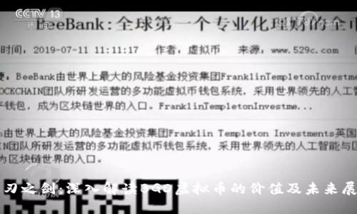 诸刃之剑：深入解读BGD虚拟币的价值及未来展望