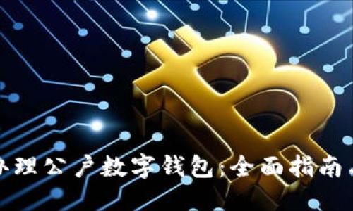 如何高效办理公户数字钱包：全面指南与实用技巧