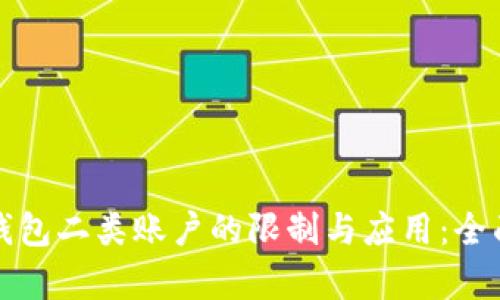 数字钱包二类账户的限制与应用：全面解析