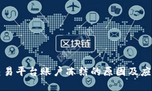 虚拟货币交易平台账户冻结的原因及应对策略详解