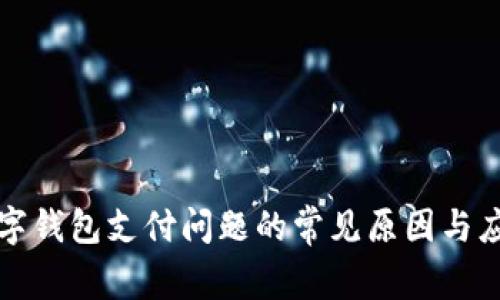 解决数字钱包支付问题的常见原因与应对策略
