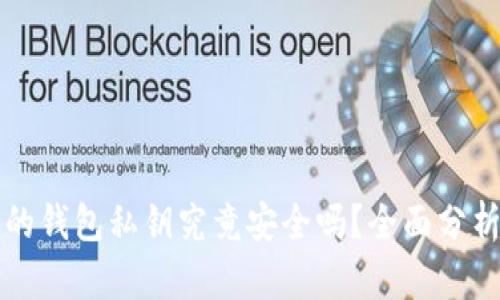 TP钱包生成的钱包私钥究竟安全吗？全面分析与最佳实践