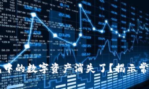 为什么你的TP钱包中的数字资产消失了？揭示常见原因及解决方案