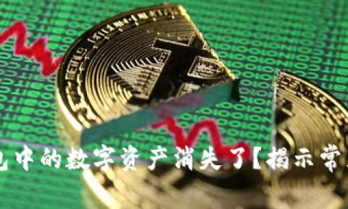 为什么你的TP钱包中的数字资产消失了？揭示常见原因及解决方案