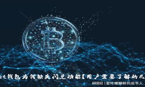 TokenPocket钱包为何缺失闪兑功能？用户需要了解的几个关键因素