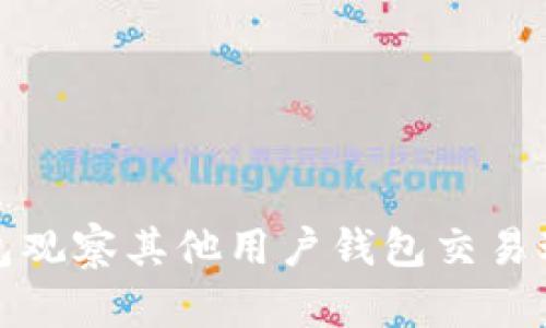如何利用TP钱包观察其他用户钱包交易动态与资产变化