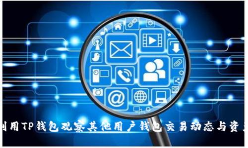 如何利用TP钱包观察其他用户钱包交易动态与资产变化