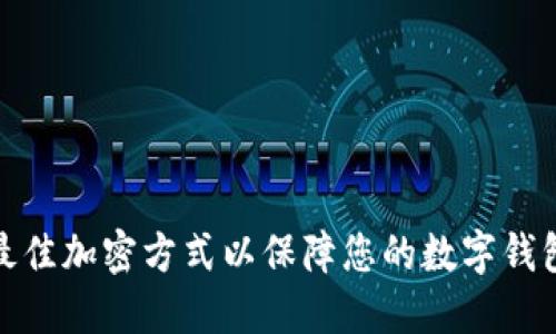 选择最佳加密方式以保障您的数字钱包安全