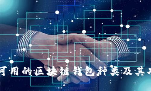 国内市场上可用的区块链钱包种类及其功能深度解析
