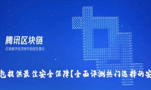 哪个数字钱包提供最佳安全保障？全面评测热门选择的安全性与功能
