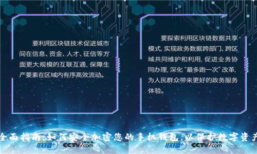 全面指南：如何安全加密您的手机钱包，以保护数字资产