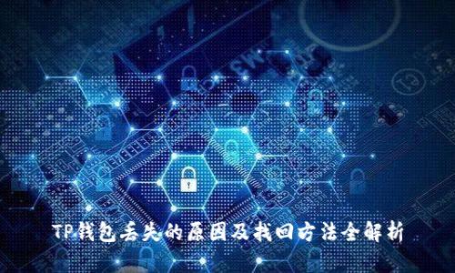 TP钱包丢失的原因及找回方法全解析