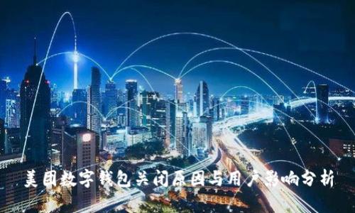 美团数字钱包关闭原因与用户影响分析