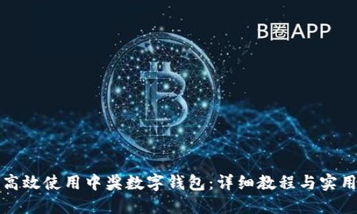 如何高效使用中奖数字钱包：详细教程与实用技巧