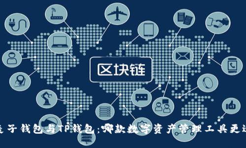  探索麦子钱包与TP钱包：哪款数字资产管理工具更适合你？