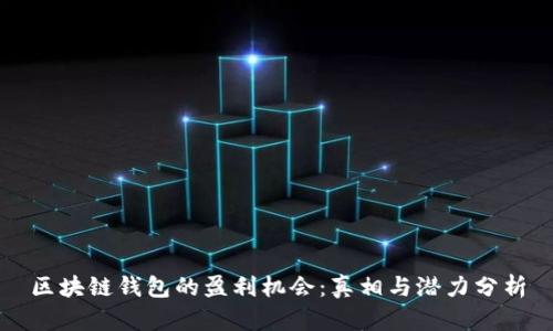 区块链钱包的盈利机会：真相与潜力分析