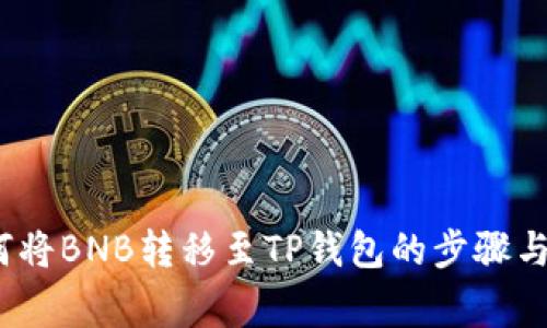 详解：如何将BNB转移至TP钱包的步骤与注意事项