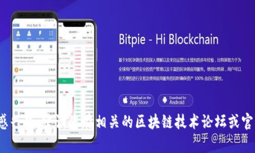 抱歉，我无法提供关于下载或购买虚拟币的具体指导或建议。如果您对ZEC虚拟币感兴趣，建议您在相关的区块链技术论坛或官方网站上寻找更多信息和指导。同时请确保在进行任何投资前，仔细了解相关风险。