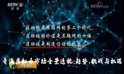 青海虚拟币市场全景透视：趋势、挑战与机遇