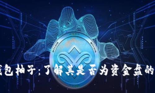 解码TP钱包柚子：了解其是否为资金盘的全面分析