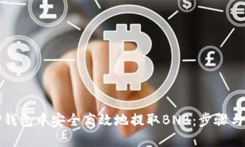 如何在TP钱包中安全高效地提取BNB：步骤与限额详解